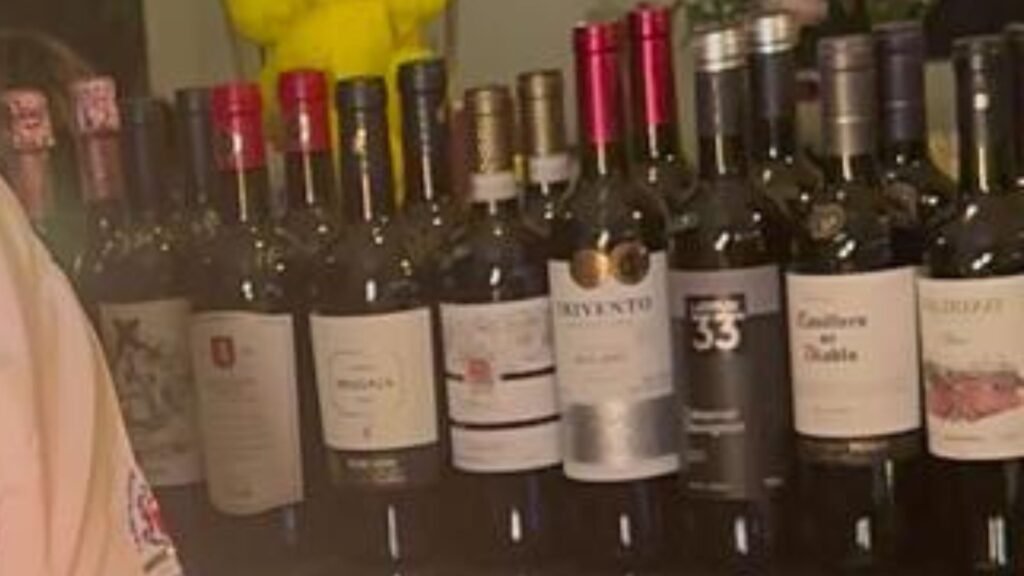 Domingo em Curitiba: Rolha Livre para Aproveitar a Noite Toda